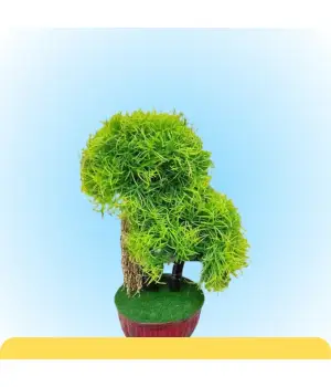 Artificial plants