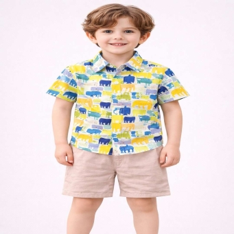Boys Clothing Set