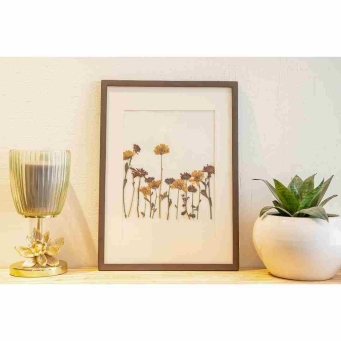 Portraits and Frames