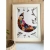 LOKAL LIVIN Moon shape pressed floral art for wall dcor, Home dcor wall hanging Gift For Your Loved Ones