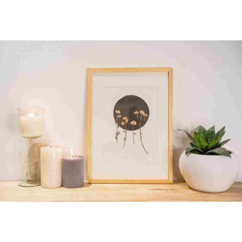 Portraits and Frames