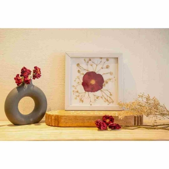 Portraits and Frames
