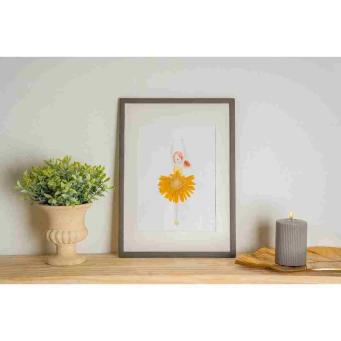 Portraits and Frames