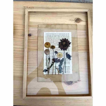 Portraits and Frames