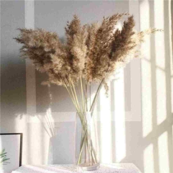Artificial plants 