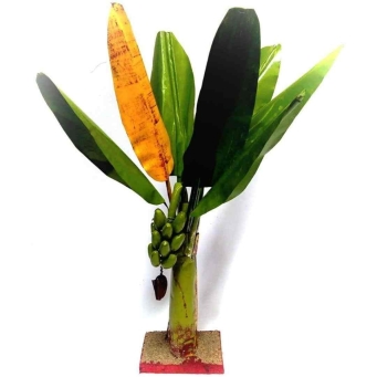 Artificial plants 