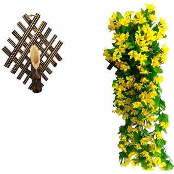 Vases