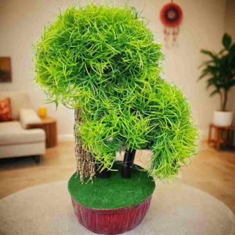 Artificial plants 