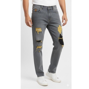 Men's grey regular fit jeans front view