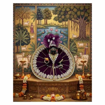 deep purple laddu gopal poshak sizes 1 to 6 heavy embellished border dress