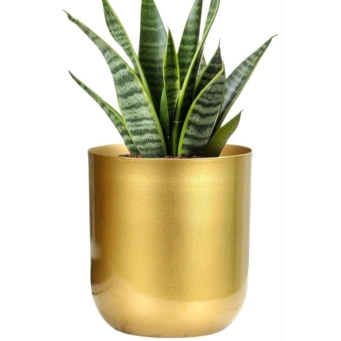 Modern golden planter for living room table decor