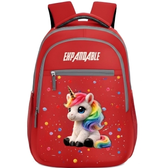 Back Pack