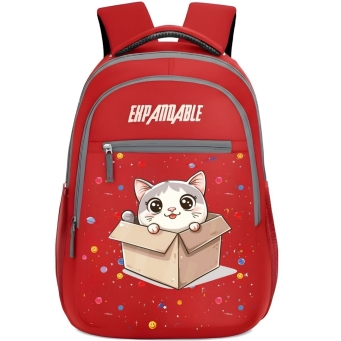 Bags & Back Pack