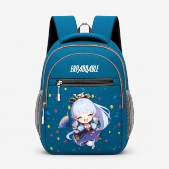 Back Pack