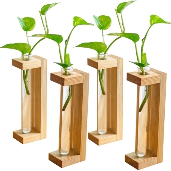 Wooden planter set with glass containers for stylish home decor