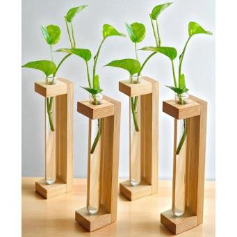 Pine wood test tube planter set for stylish home d&eacute;cor and indoor plants