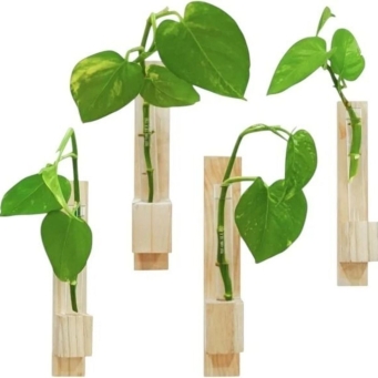 Wooden plant container set for indoor and outdoor home decor