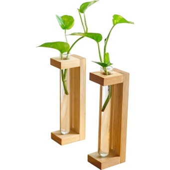 Plant Container
