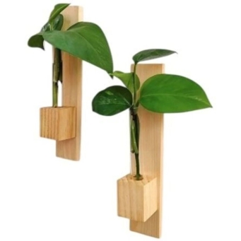 Plant Container