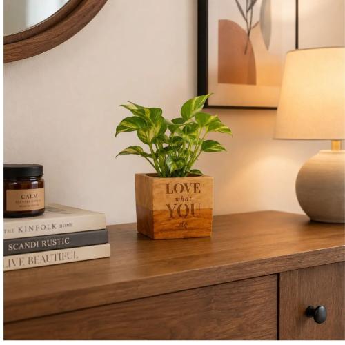 Handcrafted Wooden Planter Pot with Engraving     