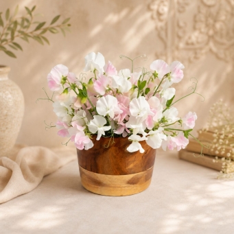Vases