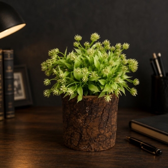 Vases