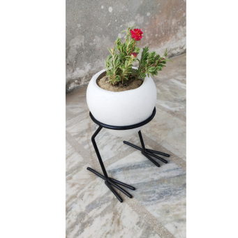 Plant Container