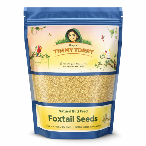 Foxtail Seeds – Natural Bird Feed