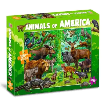 Puzzles and Games Sets